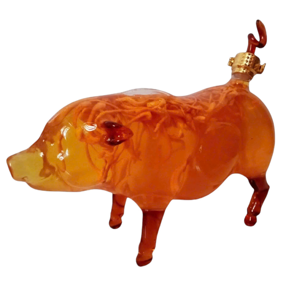 Tửu Trùng Thảo Con Heo