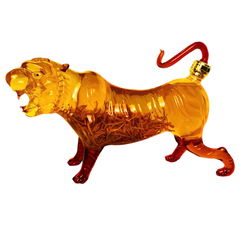 Tửu Trùng Thảo Con Hổ