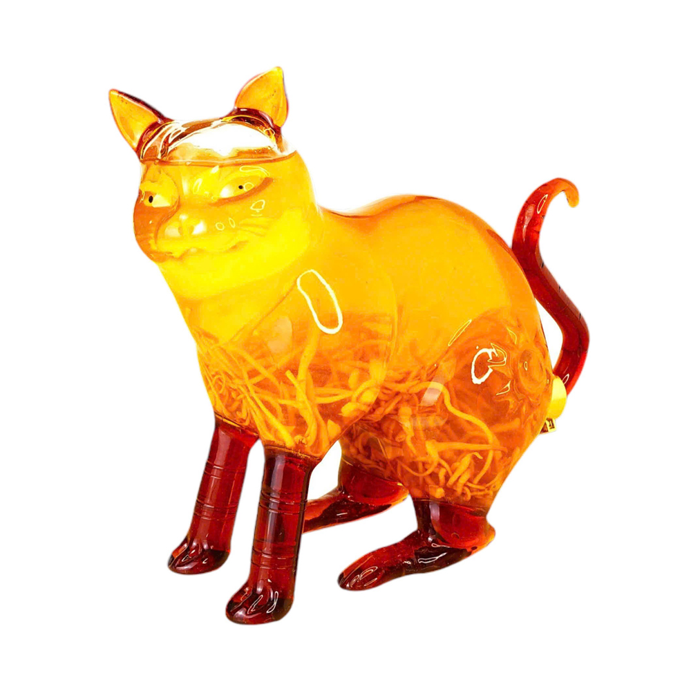 Tửu Trùng Thảo Con Mèo